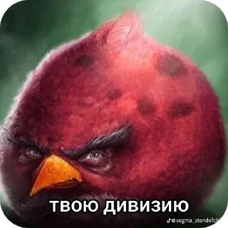 Telegram sticker 🎩 Птички