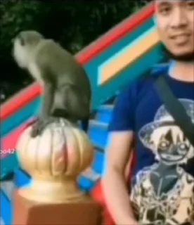 Video sticker 😏 Стикеры @stickrubot @textmeru_bot