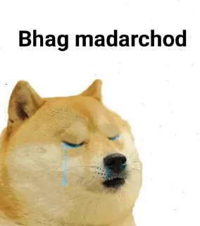 Telegram sticker 🤔 DOGESHNEW