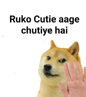 Telegram sticker 🤔 DOGESHNEW