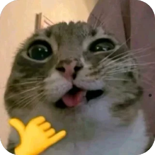 Телеграм стикер 🫥 @guielihan