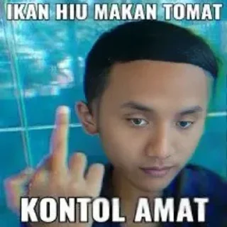 Sticker 🌟 Pianjinggg