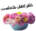 Telegram sticker 🌸 golab 🌸