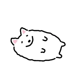 Video sticker 👍 @KakaoEmoji 백꾸둥이~