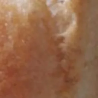 Telegram sticker ✨ 🍞 by @my_unrefined