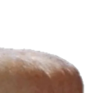 Telegram sticker ✨ 🍞 by @my_unrefined