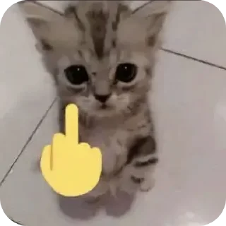 Telegram stiker 🐱 @Elieee1402