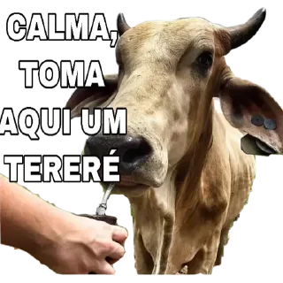Telegram sticker 🌫 Bom_dia_o_K7_vsfd_By @investigador7