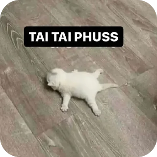 Video sticker 🐱 jannat's demure pack🎀