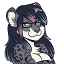 Video sticker 😼 Tiriosh