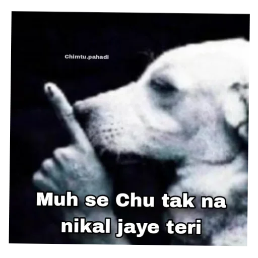 Telegram sticker 🐶 @shahir_op @defeated_op :: @fStikBot