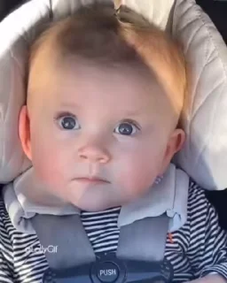 Video sticker 👀 @shahir_op @defeated_op :: @fStikBot