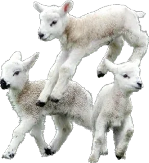 Sticker 😴 @jenomuas