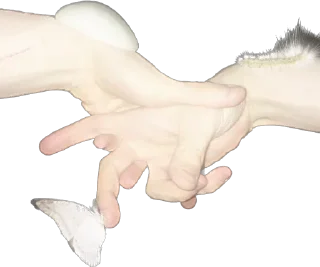 Video sticker 🫂 @jenomuas