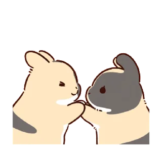 Video sticker 🤗 Team Timothy @fix_x_fox