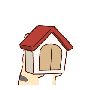 Video sticker 👋 Team Timothy @fix_x_fox