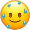 Sticker 😅 ⋆˚࿔ @emojixoley emojis 𝜗𝜚˚⋆