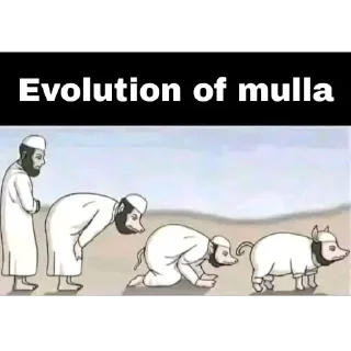 Телеграм стикер ⭐️ Most Peaceful