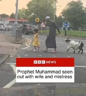 Telegram sticker ⭐️ Most Peaceful