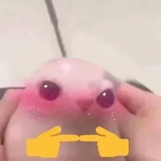 Telegram sticker 🖕 Больше стиков тут: @stikery4