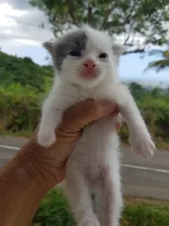 Telegram sticker 🥔 Больше стиков тут: @stikery4