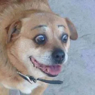 Telegram sticker 😨 34 Lixeira