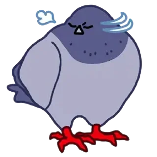 Video sticker 🍞 둘기콘 화질개선 by @KiyoBot_bot