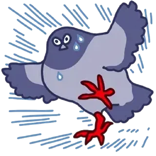 Telegram sticker 🍞 둘기콘 화질개선 by @KiyoBot_bot