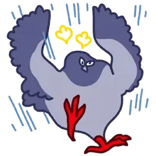 Video sticker 🍞 둘기콘 화질개선 by @KiyoBot_bot