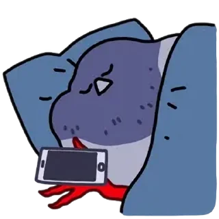 Telegram sticker 🍞 둘기콘 화질개선 by @KiyoBot_bot