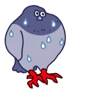 Video sticker 🍞 둘기콘 화질개선 by @KiyoBot_bot