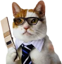 Video sticker 🏢 Эти ебучие коты (часть 3)
