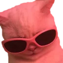 Telegram sticker 😎 Эти ебучие коты (часть 3)
