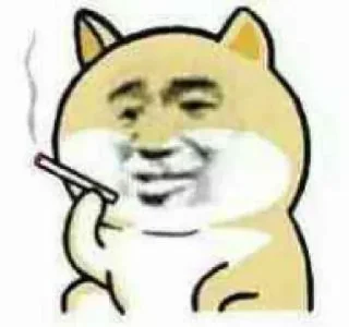 Video sticker 🤩 Kapils kang pack