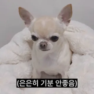 Телеграм стикер ⭐ 찌기대기의 괄호세상 @moe_sticker_bot