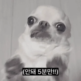 Телеграм стикер ⭐ 찌기대기의 괄호세상 @moe_sticker_bot