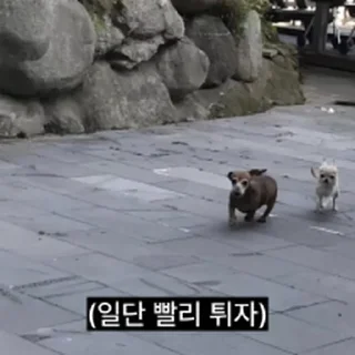 Телеграм стикер ⭐ 찌기대기의 괄호세상 @moe_sticker_bot