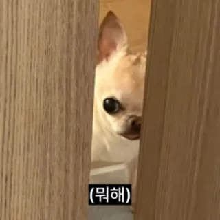 Sticker ⭐ 찌기대기의 괄호세상 @moe_sticker_bot