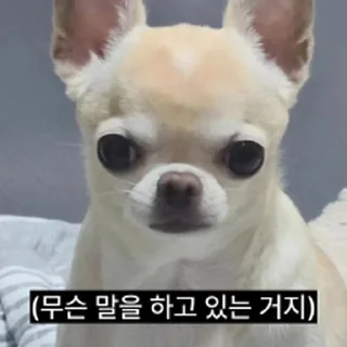 Телеграм стикер ⭐ 찌기대기의 괄호세상 @moe_sticker_bot