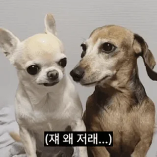 Телеграм стикер ⭐ 찌기대기의 괄호세상 @moe_sticker_bot