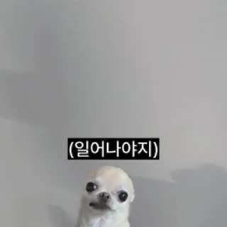 Телеграм стикер ⭐ 찌기대기의 괄호세상 @moe_sticker_bot