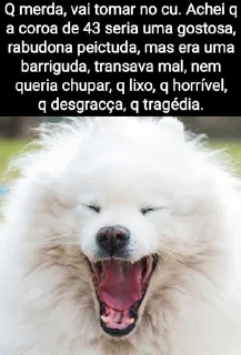 Video sticker 🐩 Mensagens Fofas (((18)))