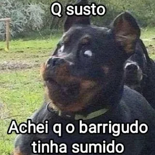 Telegram sticker 🐕‍🦺 Mensagens Fofas (((18)))