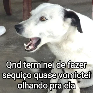 Video sticker 🤢 Mensagens Fofas (((18)))