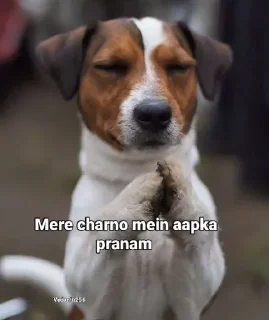 Telegram sticker ✔️ Vk ' @ABT_VK '