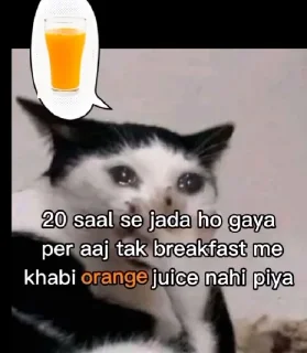 Video sticker ✔️ Vk ' @ABT_VK '