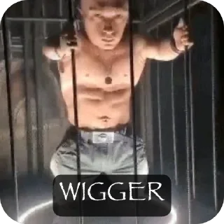 Telegram sticker 🫥 yossi mode