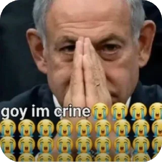 Telegram sticker 🫥 yossi mode