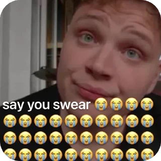 Telegram sticker 🫥 yossi mode