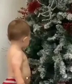 Video sticker 😡 Ren Pack 3 @rennanxo :: @fStikBot